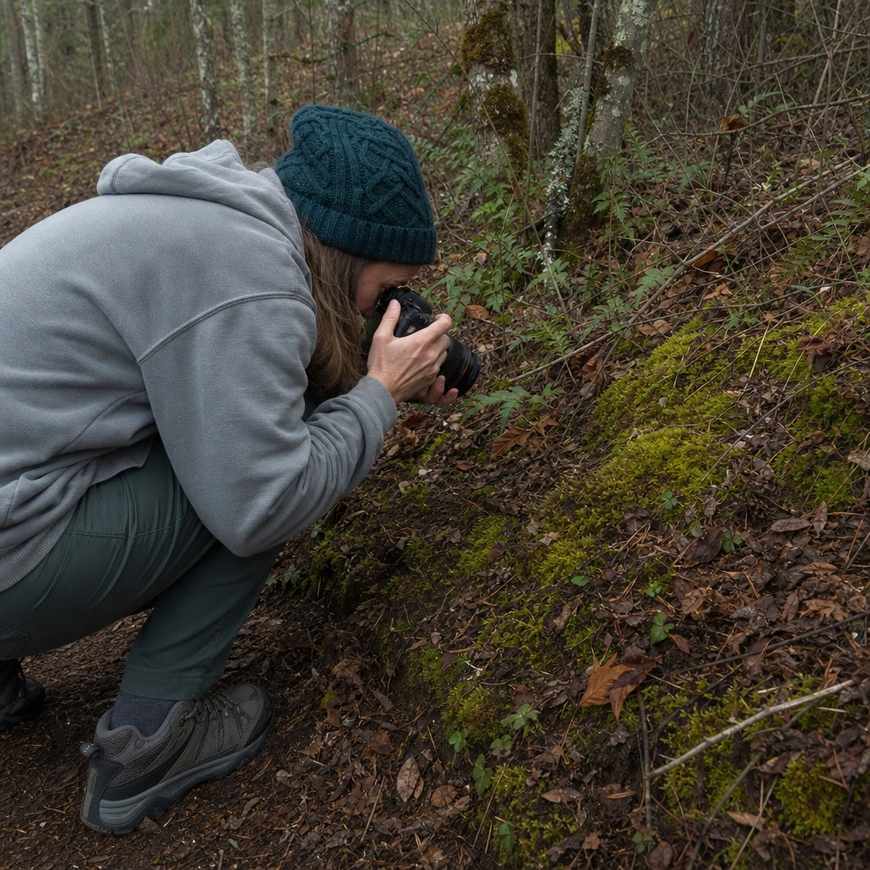 A person crouching to photograph moss and fallen leaves on a woodland path