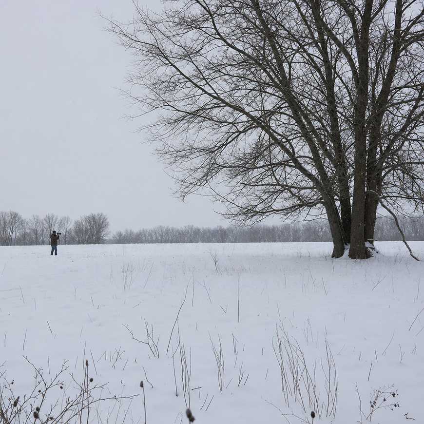 A snowy field under flat light with bare trees and a small distant figure